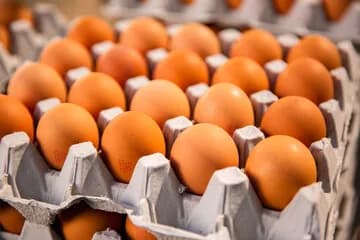 Eggs
